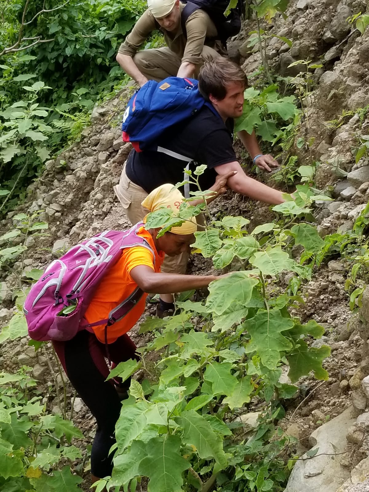 Carter Vance in Dominica